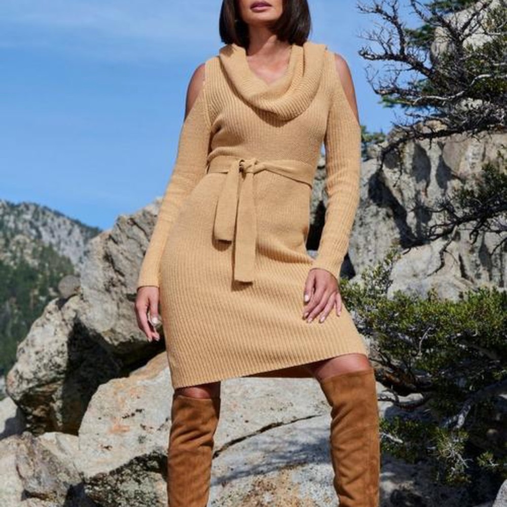 Sweater dress